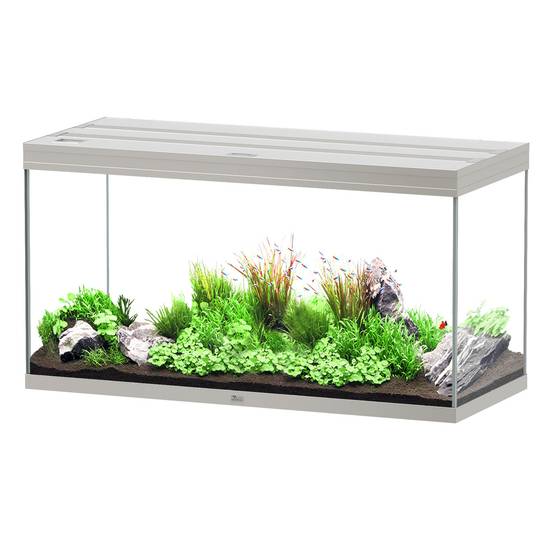 Aquatlantis - Aquarium pour poissons Splendid Inox 350 L - Aquatlantis - Image 1