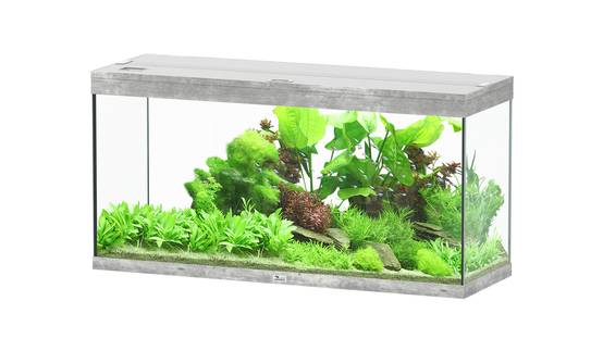Aquatlantis - Aquarium pour poissons Splendid Béton 240 L - Aquatlantis - Image 1