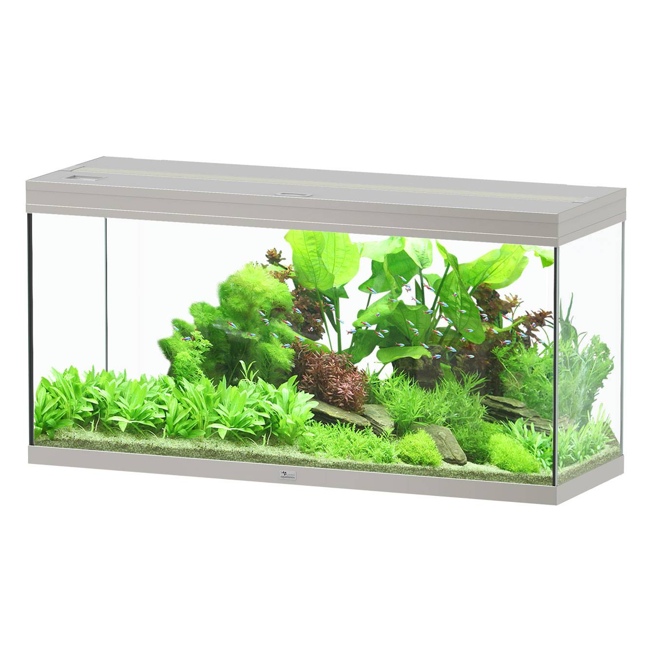 Aquatlantis - Aquarium pour poissons Splendid Ultra EF Inox  240 L - Aquatlantis - Image 1