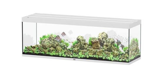 Aquatlantis - Aquarium pour poissons Sublime Ultra Blanc Haute Brillance 675 L - Aquatlantis