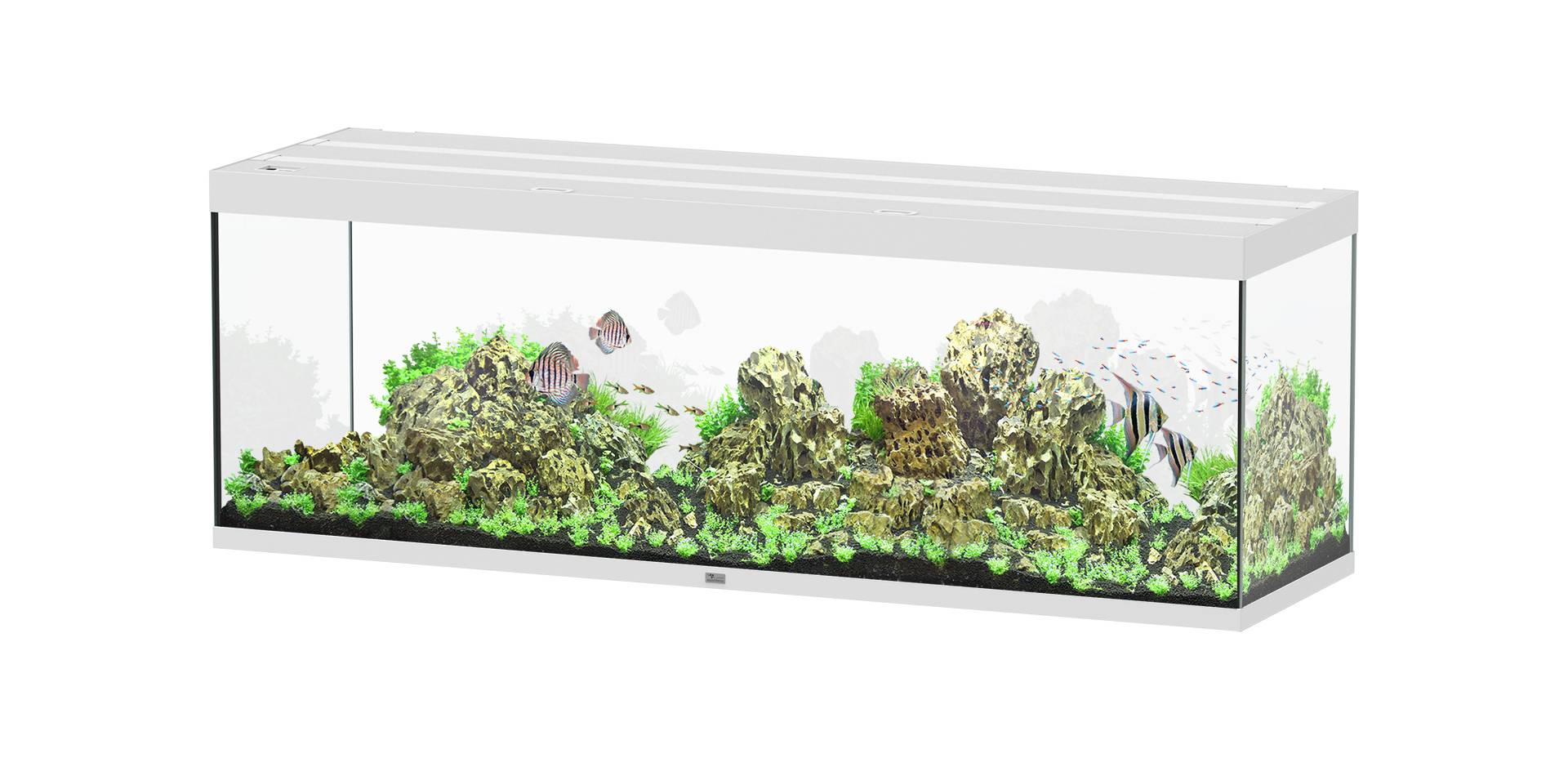 Aquatlantis - Aquarium pour poissons Sublime Ultra Blanc Haute Brillance 675 L - Aquatlantis