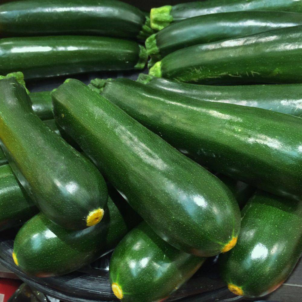 Courgette 'Diamant' lot de 3 - Image 8
