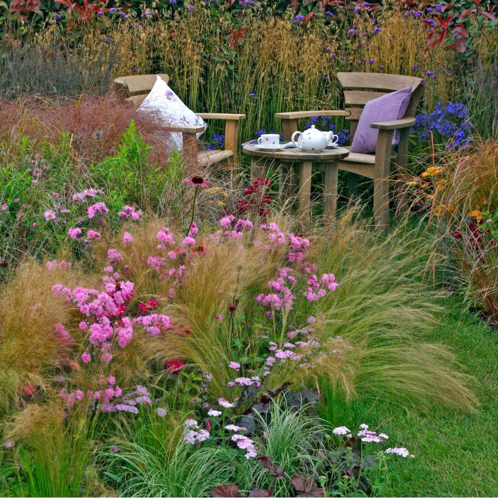 STIPA tenuissima en pot de 4 litres - Image 1