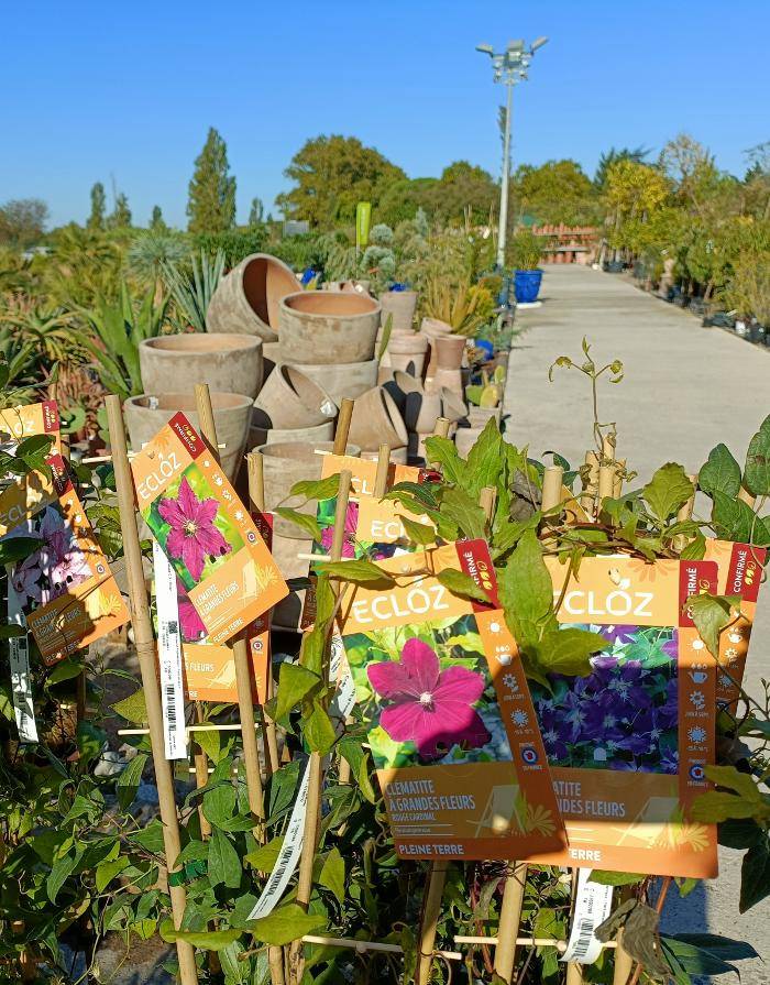 VILLENEUVE LES BEZIERS